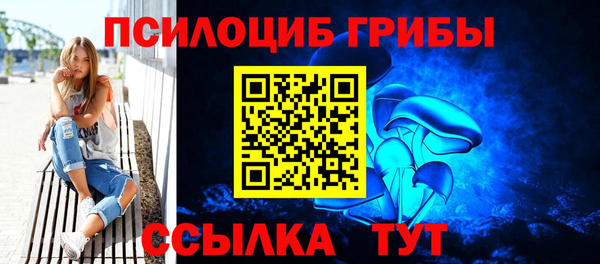 Псилоцибиновые грибы мицелий  Вход с VPN  Пенза 