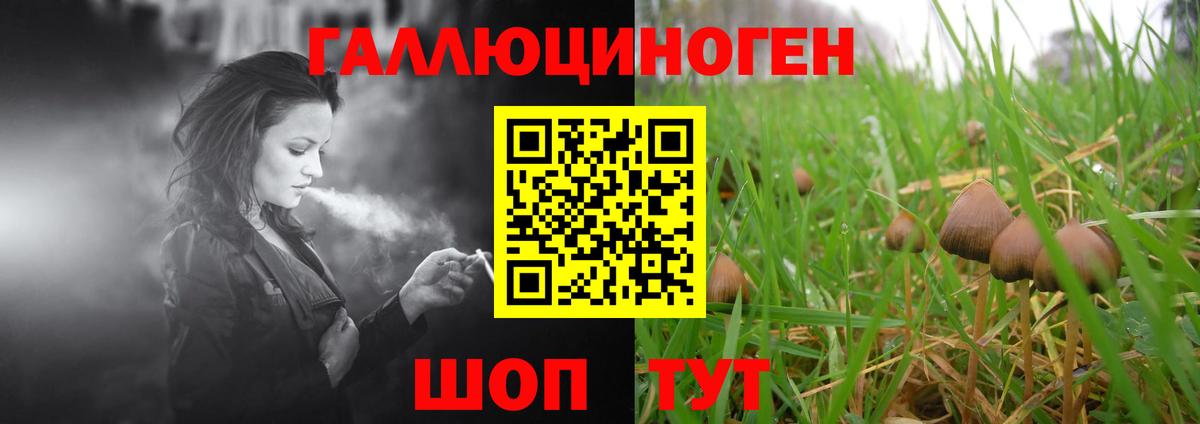 Галлюциногенные грибы ЛСД Пенза